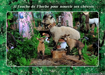 Exposition La Forêt Enchantée (73) Chèvre